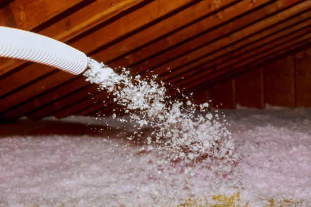 Best Insulation Contractor Near Me  in Laughlin Af, TX