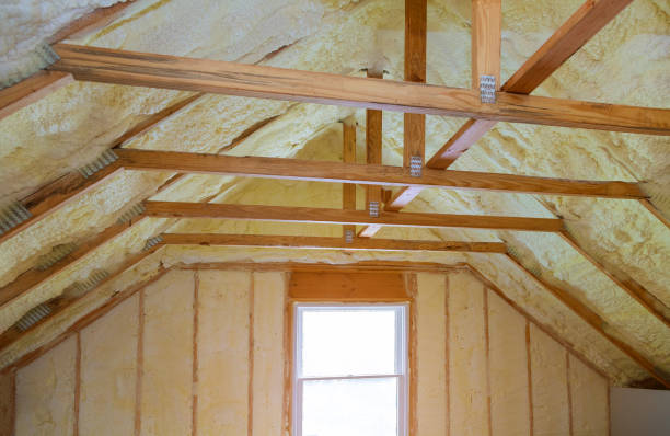 Best Attic Insulation Installation  in Laughlin Af, TX