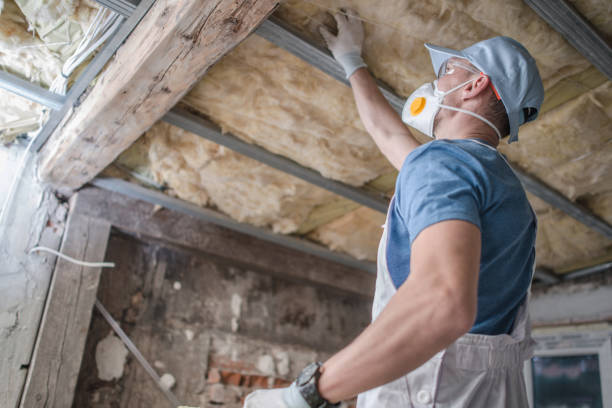 Best Insulation for New Construction  in Laughlin Af, TX