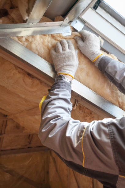 Best Commercial Insulation Contractor  in Laughlin Af, TX