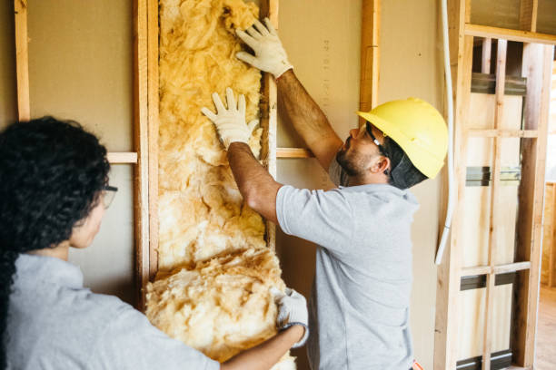 Best Garage Insulation Installation  in Laughlin Af, TX