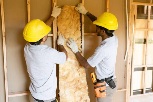 Best Spray Foam Insulation  in Laughlin Af, TX