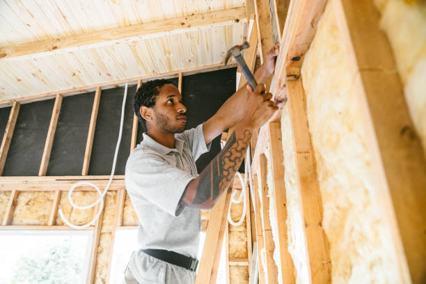 Best Insulation Contractors for Homes  in Laughlin Af, TX