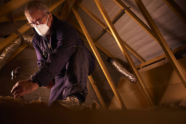 Best Insulation Inspection Services  in Laughlin Af, TX